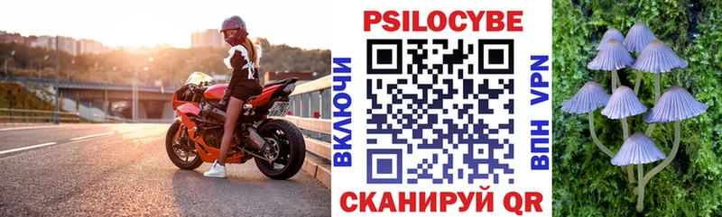 Псилоцибиновые грибы мицелий Дорогобуж